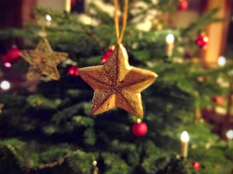 The Perfect Additions to Your Christmas Decorations: Realistic Christmas Trees and Wreaths